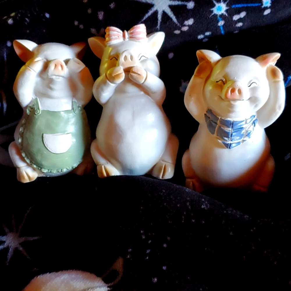 Pigs